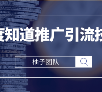 百度知道推广引流技巧,高效引流秘籍轻松爆粉上万