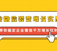 企业微信裂变增长实战课:带你搞定企业微信千万增长红利,新流量-新玩法