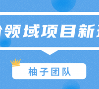 细分领域项目新玩法,特殊的赚钱思维打造一份巨额收入