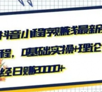 抖音小程序赚钱最新实战课程,0基础,实操+理论,有人已经日赚20000+