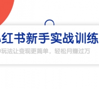 龟课·小红书新手实战训练营:多种变现玩法,轻松玩转小红书月赚过万