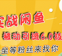 实战闲鱼被动引流6.0技术,坐等粉丝来找你,打造赚钱的ip(16节课+话术指导)