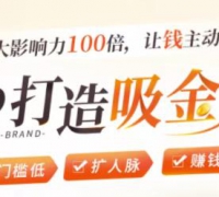 IP打造吸金术:0基础0资源,也能扩大影响力100倍,让钱主动找你!