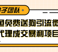 利用闲鱼免费送暴力吸粉,引流到微信代理成交暴利项目