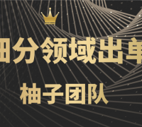 闲鱼细分领域暴力出单玩法,低成本轻松做到单号月入5000+