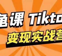 龟课·TikTok变现实战训练营线上第1期,多种变现模式,轻松赚美刀【完结】