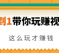 从0到1带你玩赚视频号:这么玩才赚钱,日引流500+日收入1000+核心玩法