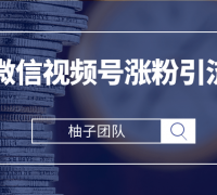 运营微信视频号涨粉引流攻略,轻松涨粉10W+