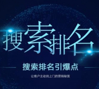 搜索排名引爆点:教你快速掌握各个搜索引擎排名算法,让客户主动找上你的秘笈