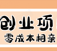 史上最强的零成本创业项目年入30W:相亲号,从平台搭建到引流到后期开单